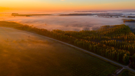Aerial view over landscape vegetation with haze at sunrise and asphalt road that is going between forest trees with active traffic. Sunrise over horizon.の写真素材