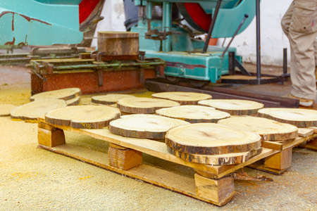 Thinly cut wooden round pieces for decoration stacked on a pallet, sawdust is all around.