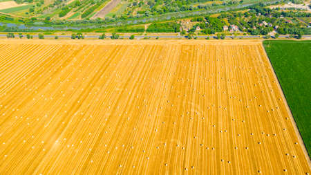 Above view of agricultural field with round bales of straw, after harvesting cereal plant are...