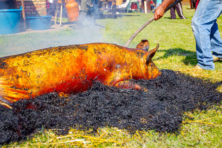 Butchers are burning pile of straw for removing hair from the pig's skin at outdoor butchery.の写真素材