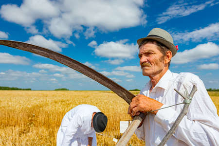 Farmer is holding scythe in front of field with mature wheat.のeditorial素材
