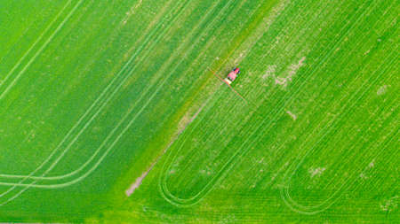 Above top view, overhead view on tractor as spraying farmland with young green wheat dragging...