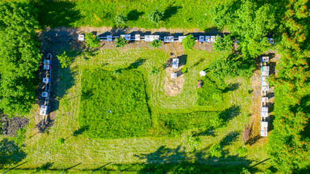 Above top view over beekeeper as cutting grass among beehives arranged in a row, line, bee colony...