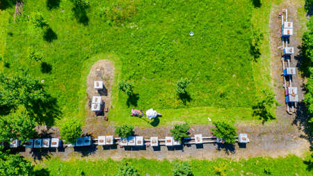 Above top view over beekeeper as cutting grass among beehives arranged in a row, line, bee colony...