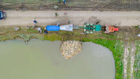Above top view on equipment and mechanization with fishing scoop at commercial harvesting fish at...