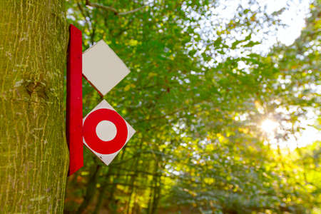 Signpost is hung on a tree and showing the path of mountain trail through forest.の写真素材