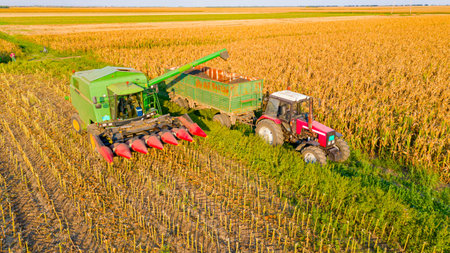 Above view of transshipment from agricultural harvester, combine to the trailer, unloading harvested...