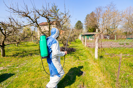 Farmer in protective clothing and gas mask sprays of fruit trees in orchard using long sprayer to protect them with chemicals from fungal disease or vermin at early springtime.の写真素材