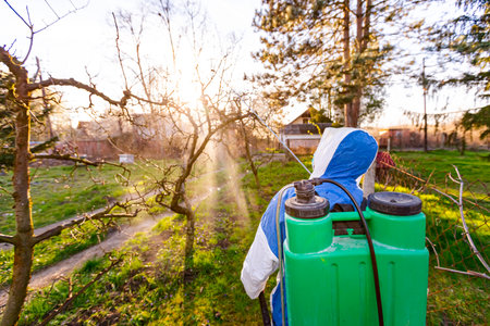 Shot from behind, backlight on farmer with protective clothing sprays fruit trees in orchard using...