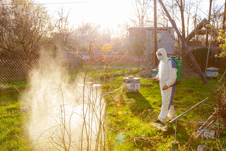 Backlight on farmer with protective medical face mask and clothing sprays fruit trees in orchard...
