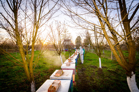 Farmer in protective clothing sprays fruit trees in orchard using long sprayer to protect them with...