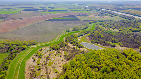Above view, landscape vegetation, curvy dirty road as going between forest plantation and...