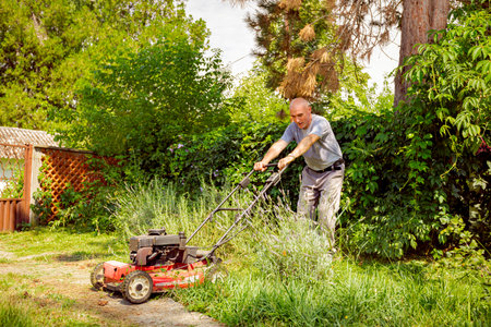 Gardener is cutting grass in his yard with motor lawn mower among fruit trees.