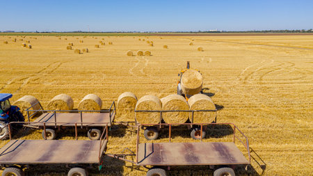 Above view on excavator as loading straw bales on trailer, tow by tractor at farmland, using...