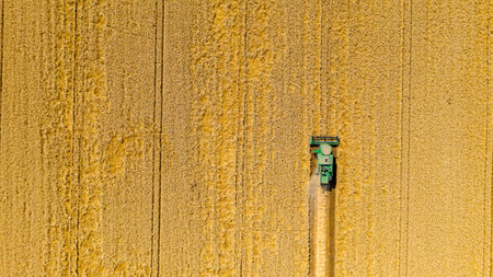 Above top view over agricultural harvester, combine as he cutting and harvesting mature wheat on farmland. Harvest time in summerの写真素材