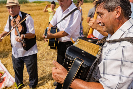 Muzlja, Vojvodina, Serbia, - July 02, 2022; XXXIX Traditionally wheat harvest. Accordionist is stretching bellows of accordion. Music for success before reaping wheat manually on traditional rural wayのeditorial素材
