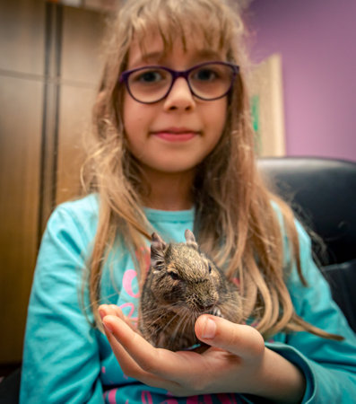 Little happy girl holds in her hand domestic pet, cute, cuddly Chilean degu chinchilla.の写真素材