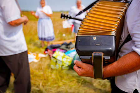Accordionist is stretching bellows of accordion. Music for success before reaping wheat manually on...