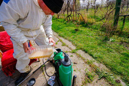 Gardener is preparing suitable mixture of water and concentrated amount of extract from small bag in proper scale, botanical solutions of pesticide, fungicide, for sprinkling fruit trees early spring.の写真素材