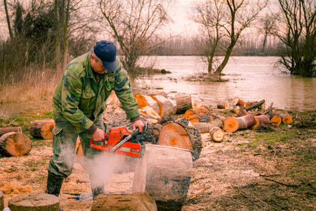 Lumberjack is chopping, split large tree trunks, using professional chainsaw slicing freshly cut...