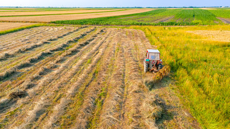 Tractor with attached mechanical rake is turning and gathering dry moved grass to arrange in long...