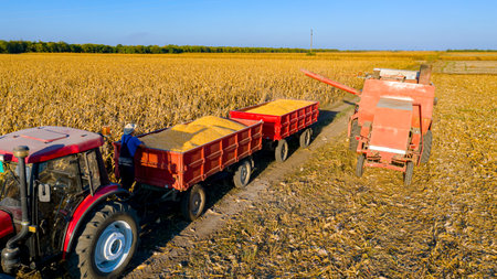 Above view of transshipment from agricultural harvester, combine to the trailer, unloading harvested corn.の写真素材