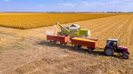 Above view of transshipment from agricultural harvester, combine to the trailer, unloading harvested...