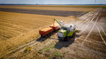 Above view of transshipment from agricultural harvester, combine to the trailer, unloading harvested corn.Cultivated plots in harvest seasonの写真素材