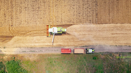 Above top view over agricultural harvester, combine as he cutting and harvesting mature wheat on farm fields. Tractor with two trailers is waiting ready for transshipmentの写真素材