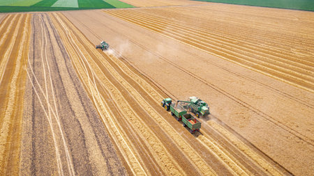 Above view on harvester, combine as harvest mature wheat and unloading in motion. Tractor with two...