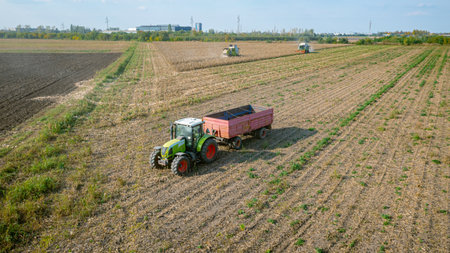 Above view, over one trailer loaded with grain waiting transshipment. In background two harvesters,...