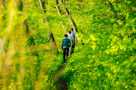 People, family, men with his sons are walking in forest footpath trail is going among deciduous trees on a sunny day. Small woodland path, road trough fresh spring vegetationの写真素材