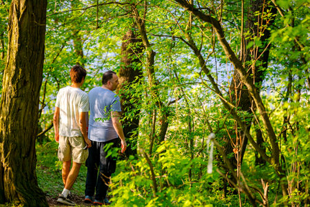 People, family, men with his sons are walking in forest footpath trail is going among deciduous trees on a sunny day. Small woodland path, road trough fresh spring vegetationの写真素材
