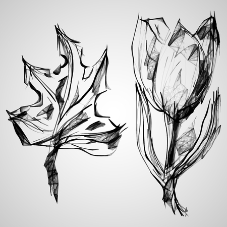 Sketch of maple and Tulip. Drawn using a mobile phone and drawing software.のイラスト素材