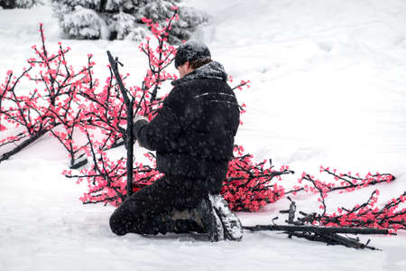 Russia, Nefteyugansk, December 28, 2019: the eve of Christmas. A man collects a decorative led Sakura tree of pink color. He sits on his haunches in the snow. Copy space.のeditorial素材