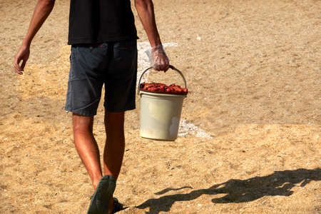A man carries a bucket of boiled crayfish on the beach. Selective focus. Copy space.の写真素材