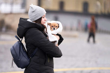 RUSSIA, Moscow, January 25, 2021: a girl walks through Red Square with a small dog in her arms. The dog is wrapped in a dog blanket.のeditorial素材