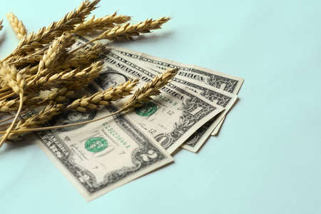 Wheat ears and dollars on a pale blue-green background. Copy space.の写真素材