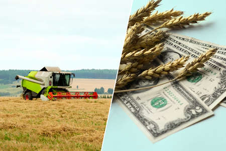 On the left is a grain harvester working in a wheat field, on the right are wheat ears and dollars on a pale blue-green background.の写真素材