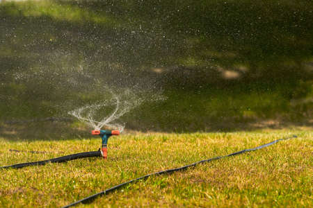 Ground automatic watering of the lawn through sprinklers. Copy space. Selective focus.の写真素材