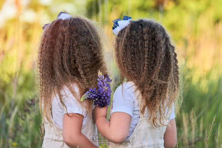 Twin sisters with a bouquet of blue lupines in a meadow. Rear view. Selective focus.の写真素材