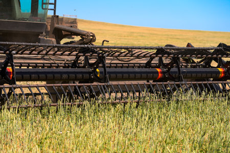 A tractor with a front reaper mows wheat ears in the field. A fragment. Close-upの写真素材