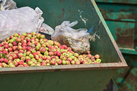 Garbage containers with discarded apple crops.