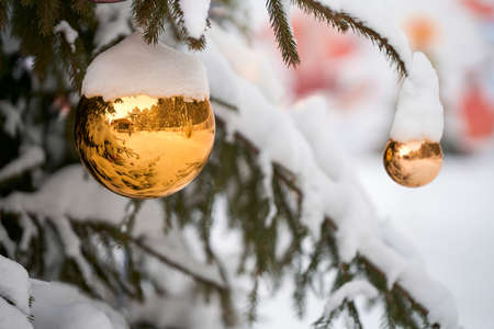 A snow-covered spruce tree in the courtyard of the house decorated with Christmas glass balls. Selective focus.の写真素材