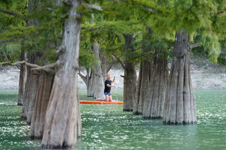 Russia, Sukko, September 15, 2021: a man on a rowing board between the thick trunks of swamp cypress trees. The man tied a safety leash to his ankle.のeditorial素材