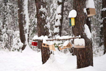 Winter landscape. Snow-covered bird feeders in the forest. Selective focus.の写真素材