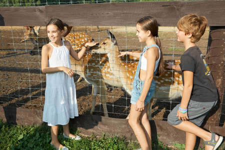 Russia, Tatarstan, August 12, 2021: happy children at the enclosure with red deer.のeditorial素材