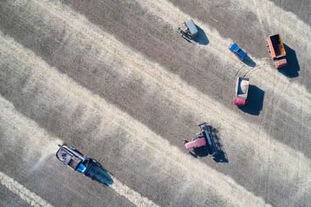 The accumulation of agricultural machinery in the field near farmers controlling the process of harvesting grain. Aerial photography. Copy space.の写真素材