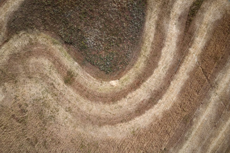 Aerial view of a wheat field with paths of mown ears and stubble encircling a plot unsuitable for...