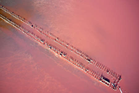 Aerial view of the salty red lake with old wooden beams sticking out of the water with salt growths. Shooting from a drone.の写真素材